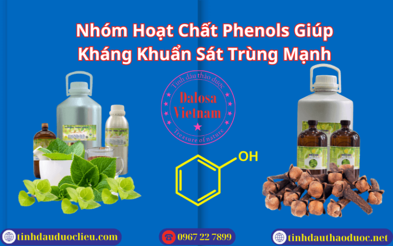Nhóm Hoạt Chất Phenols Giúp Kháng Khuẩn Sát Trùng Mạnh
