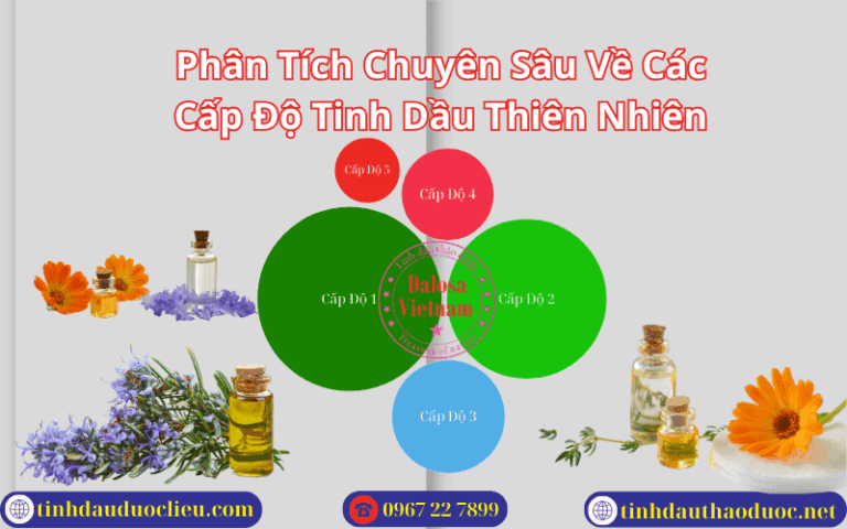 5 Cấp Độ Tinh Dầu Thiên Nhiên Giúp Hiểu Đúng Để Chọn Đúng