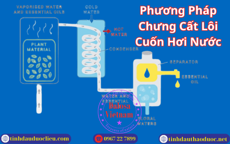 Chưng Cất Lôi Cuốn Hơi Nước Là Phương Pháp Cổ Truyền Và Hiệu Quả