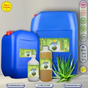 Dầu Lô Hội – Aloe Vera Oil