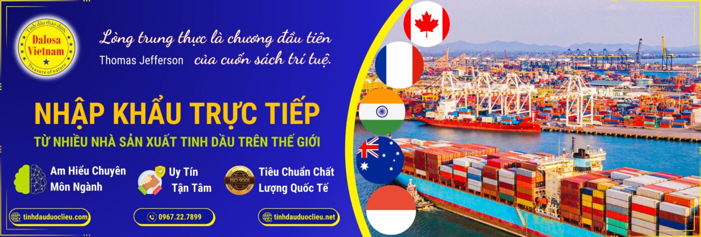 the manh cua dalosa vn